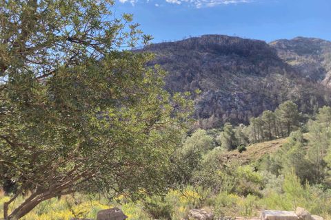 Landejendom i El Perello, Tarragona, El Perello - € 36.000 | Ref: Finca Montanas - foto 25